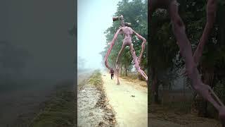 A Boy Chased By Stranger Siren Head In Real Life