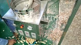 Dry garlic peeling machine 15kgh and 30kgh