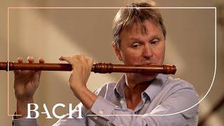Bach - Flute Partita in A minor BWV 1013 - Root  Netherlands Bach Society