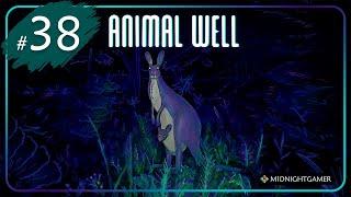 Animal Well  #38  Освободили всех котят • Предмет Колесо