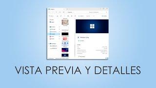 El Panel de Detalles y Vista Previa en Windows