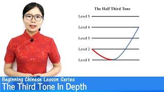 The Third Tone in Depth Tone Change Rules  Beginner Lesson 17  CHINESE FAQs