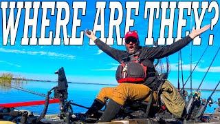 How to Find Fish Fast - Any Time Any Lake - Bass Fishing