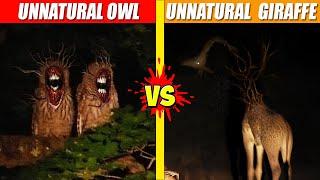 Unnatural Owl vs Unnatural Giraffe  SPORE