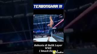 TERBONGKAR.     RAHASIA DI BALIK LAYAR WWE.     SMACK DOWN