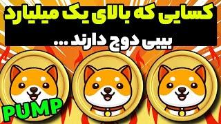 کسایی که بالای یک میلیارد بیبی دوج کوین دارند Baby doge coin این ویدیو ببین 