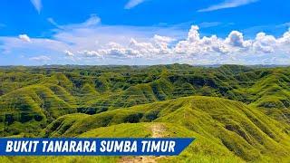 BUKIT TANARARA SUMBA TIMUR  Hamparan Savana Hijau Yang Memukau Dan Spot Foto Yang Eksotis.