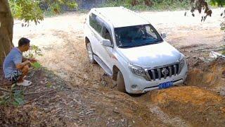 GWM Tank 300 2.0T vs Toyota Prado 2.7L vs Jeep Wrangler Rubicon PK Off-road