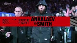 #UFCVegas84 Pelea Gratis Ankalaev vs Smith