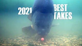 Best underwater takes 2021 Carp catfish and sturgeon
