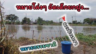 ตกปลาหน้าดิน หมายโล่งๆอัดเด็กยกฝูงหมายธรรมชาติมีพิกัดEP.126 #ตกปลา#ตกปลาหน้าดิน#ตกปลาหมายธรรมชาติ