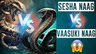 Who is Powerful between Sesha Naag and Vaasuki Naag ? ll Lord Shivas Devotee