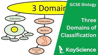 Domains of Classification - Biology GCSE  kayscience.com