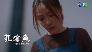 【#孔雀魚 EP2】那上面有血｜預告 ｜尹馨  安心亞  藍葦華 莊凱勛 張再興 姚淳耀 陳慕義 顏正國