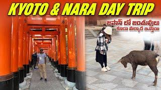 Kyoto & Nara Day Trip From Osaka  Japan Travel Vlog  Telugu Traveller Ramu