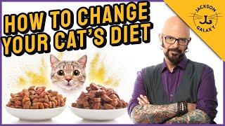How to Transition Your Cats to a Different Diet