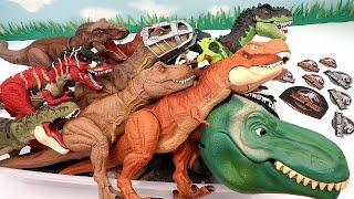 50 Tyrannosaurus Dinosaur Box - Jurassic World Walking Dino Anatomy Set