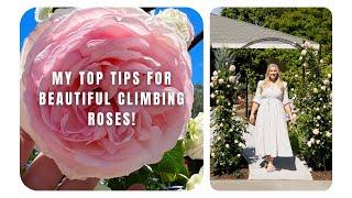 My Top Tips for Beautiful Climbing Roses  How I Care for My Eden Climbing Rose Arch