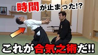 大東流合気柔術 幸心会　野本禎師範「柔術・合気柔術・合気之術」 Jujutsu & Aiki-jujutsu & Aiki-no-jutu by  Nomoto Tadashi