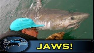 JAWS - Biggest shark in UK - ORIGINAL FOOTAGE - Graeme Pullen & Wayne Comben - TAFishing