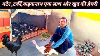 IVRI बरेली इज्जतनगर की बटेर टर्की सब मिलेगा इनके पास  Deshi Poultry Farming side business idea