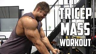 PURE Tricep Workout for MASS - Detailed Description