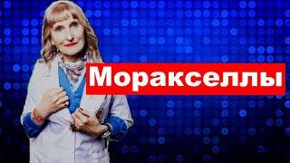 Моракселлы