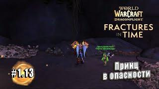 World of Warcraft Dragonflight - Трещины во времени Принц в опасности 1.13