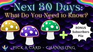 ‍️ Pick-a-Card  Next 30 Days What Do You Need to Know? Guidance & Advice Channeled Tarot