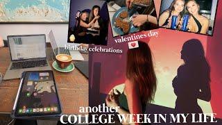 a week in my life valentines exams and bday celebrations