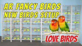 Exploring My Gorgeous New Lovebirds Setup Tour  AR Fancy Birds #lovebirdsetup #breeding #birds