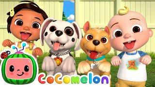 Puppy Play Date  CoComelon Nursery Rhymes & Kids Songs