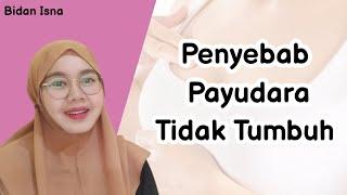 PENYEBAB PAYUDARA TIDAK TUMBUH WANITA WAJIB TAU BIDAN ISNA