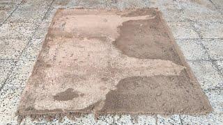 Unbelievable cleaning of dried mud on the carpet satisfying rug cleaningasmr