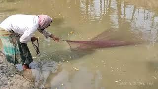 Big Fish Catching Using by Cast Net