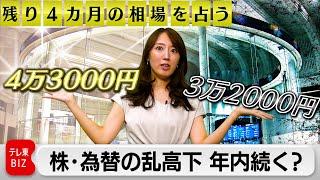 【残り4カ月の相場を占う】市場関係者に独自調査、株・為替の乱高下は年内継続？