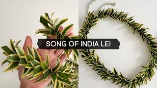 Making a Lei with Song of India Leaves