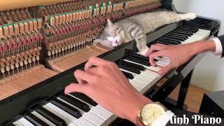 Fur Elise Piano Meowssage