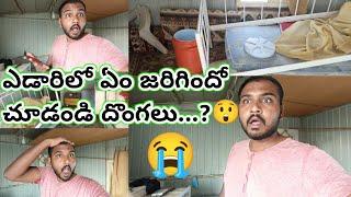 ఎడారిలో ఏం జరిగిందో చూడండి దొంగలు...?       ll Sajidteluguvlogs ll