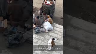 quran short video