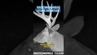 RAGE BROADHEAD Stuck in Antler TENPOINT VIPER430 #crossbow #hunting #deerhunting #gopro