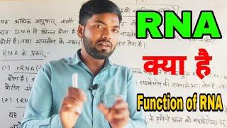 आर. एन. ए. क्या है what is RNA Function of RNA ribos nucleic acid rna kya hota hai