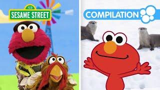 Elmo & Friends Learn About Animals 2 HOUR Sesame Street Animal Compilation for Kids
