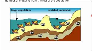 Olimpíada Brasileira de Biologia OBB  13 - Fase 2 - Questões 51-100 