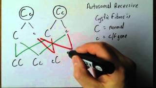 Genetics 4 Autosomal recessive disorders