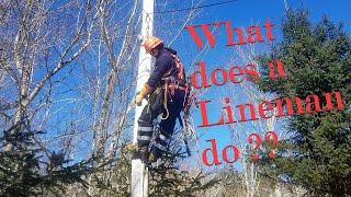 Thinking of becoming a Lineman?