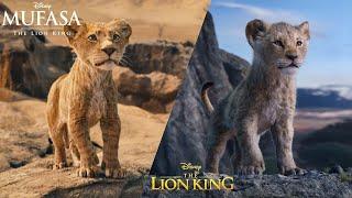 Mufasa The Lion King Vs. The Lion King 20242019 Side-by-Side Comparison