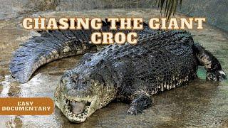 Chasing the Giant Monster Crocodile  - Full Easy Documentary