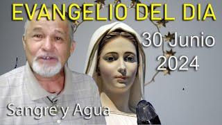 Evangelio Del Dia Hoy - Domingo 30 Junio 2024- Sangre y Agua