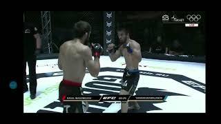 EFC 38 Расул Магомедов & Шахрух Рамазанов